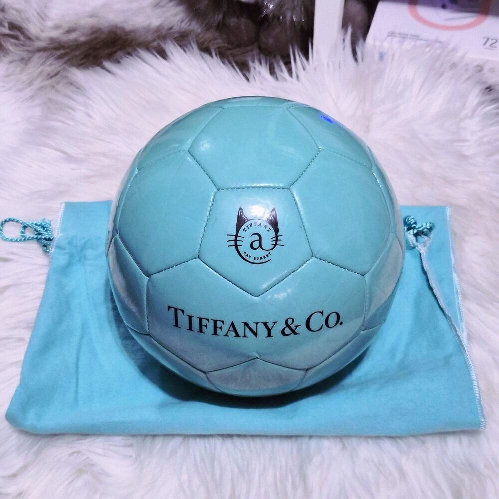 RARE Tiffany & Co. x SPALDING Cat Street Leather Soccer Ball Size 5 Japan Excl.